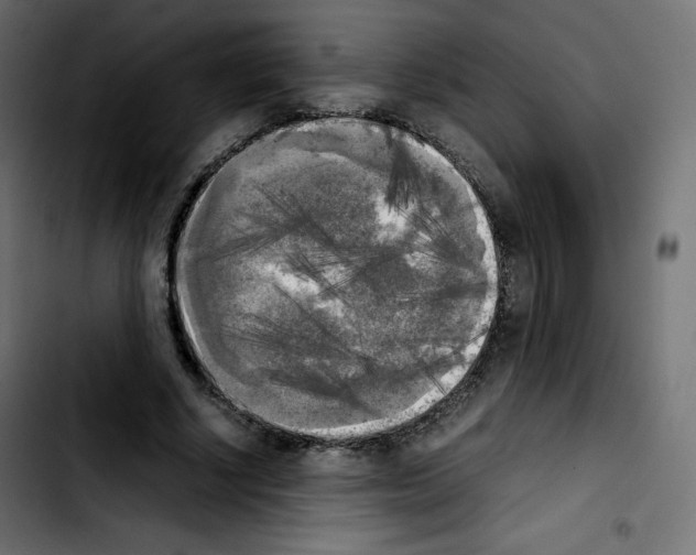 X0000103900634200810311410