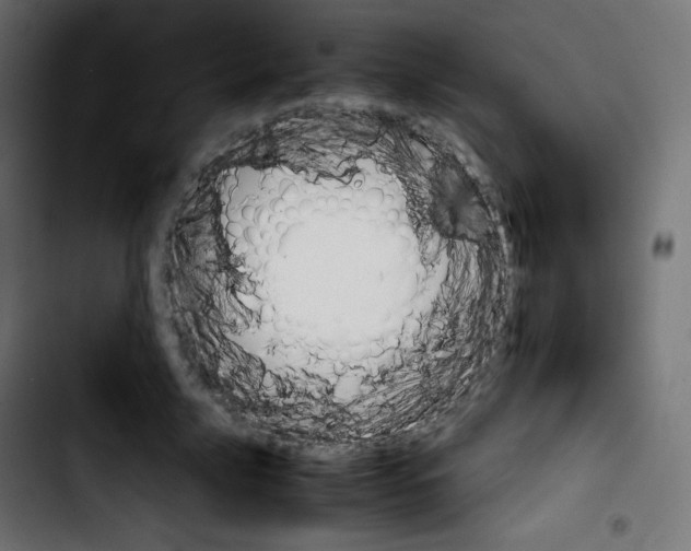 X0000103900635200810311410