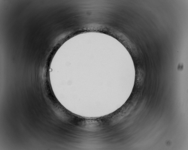 X0000103900636200810311410