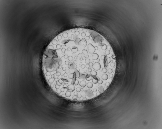 X0000103900639200810311410