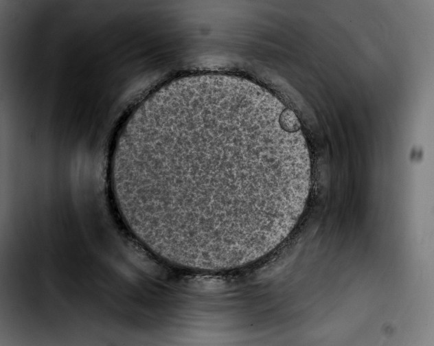 X0000103900640200810311410