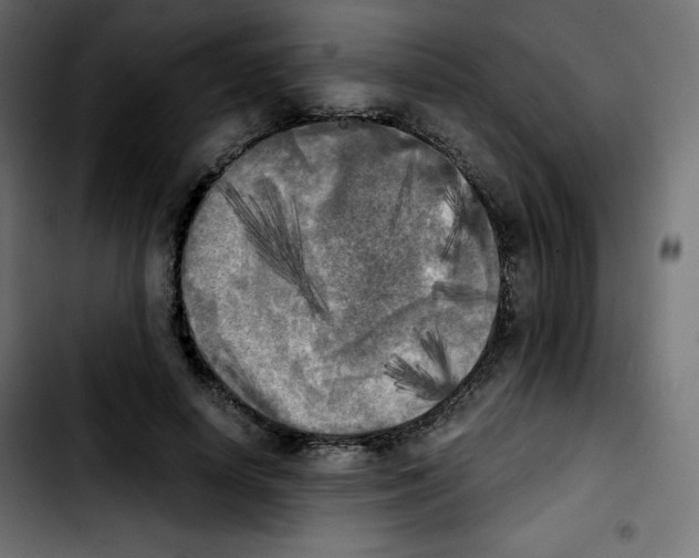 X0000103900642200810311411