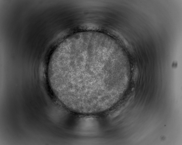 X0000103900643200810311411