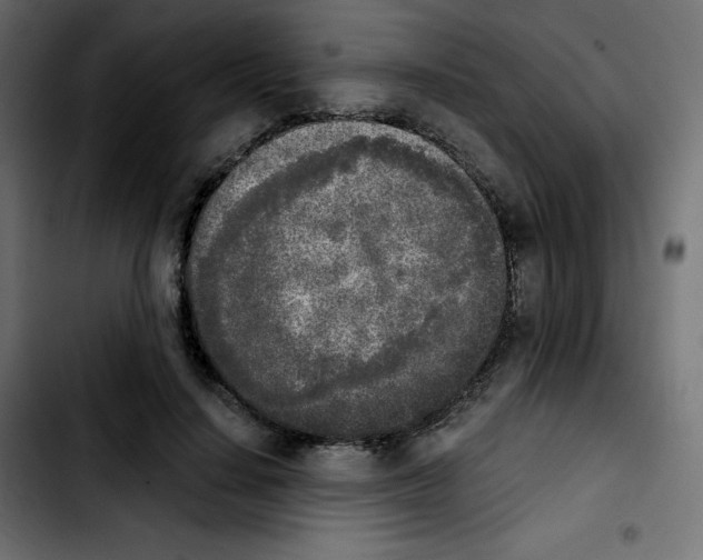 X0000103900644200810311411