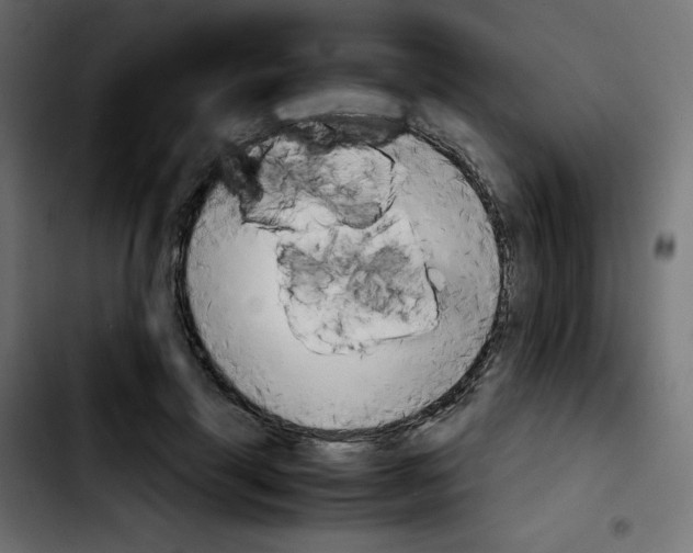 X0000103900645200810311411