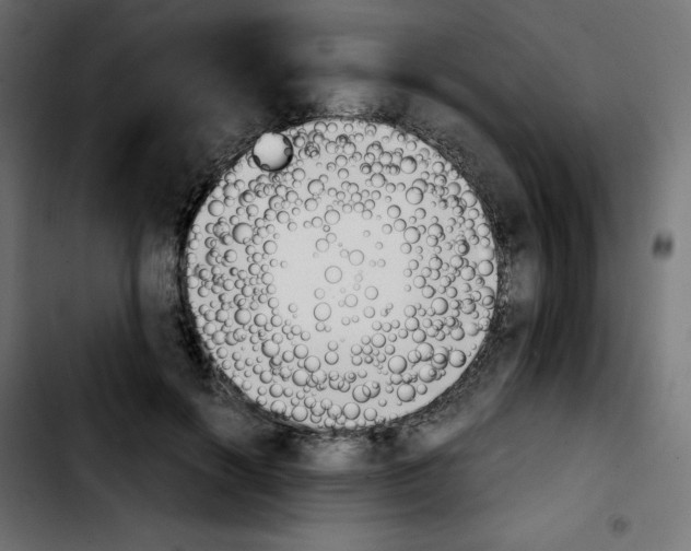 X0000103900646200810311411