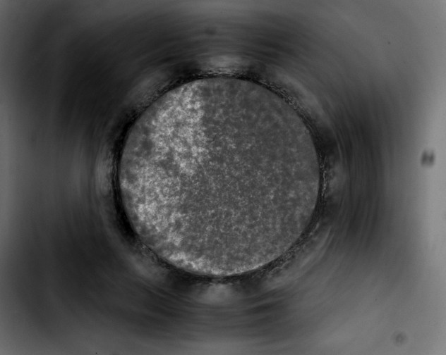 X0000103900647200810311411