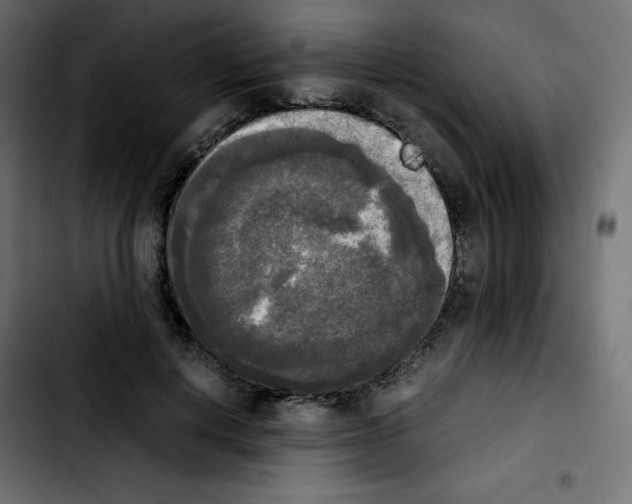 X0000103900648200810311411