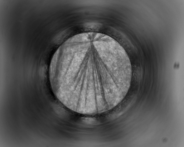 X0000103900649200810311411