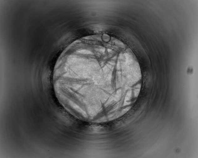 X0000103900650200810311411