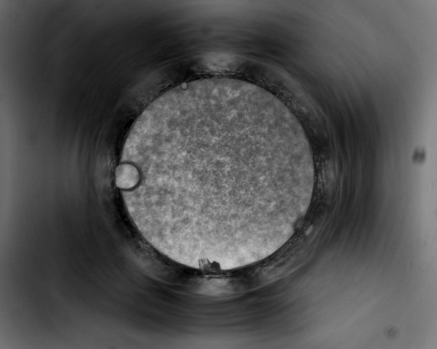 X0000103900651200810311411