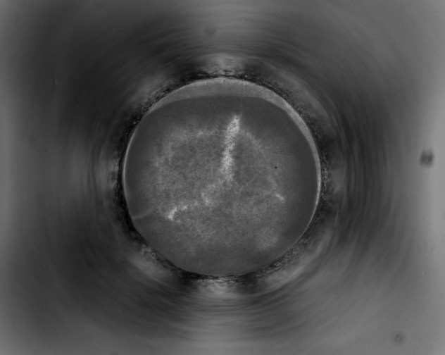 X0000103900652200810311411