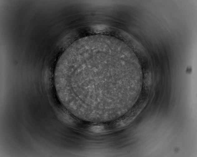 X0000103900653200810311411