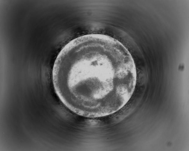 X0000103900654200810311411