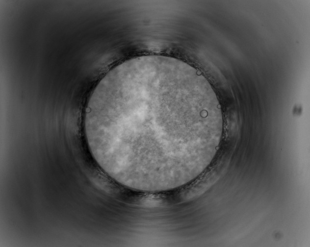 X0000103900656200810311411