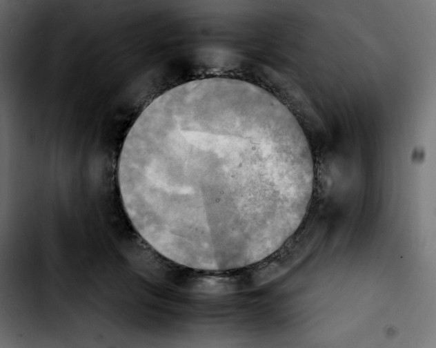 X0000103900657200810311411