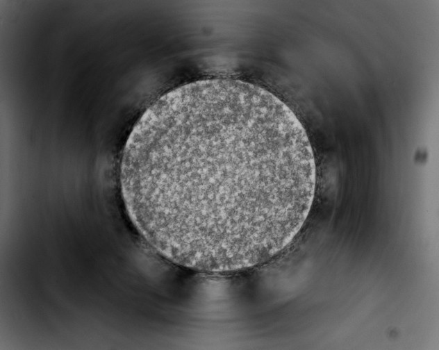 X0000103900658200810311411