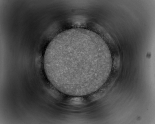 X0000103900659200810311411