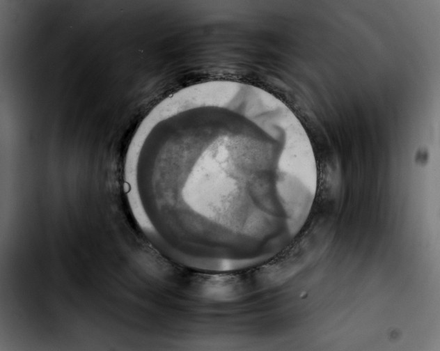 X0000103900663200810311411