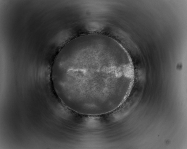 X0000103900664200810311411