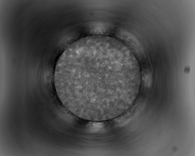 X0000103900665200810311411