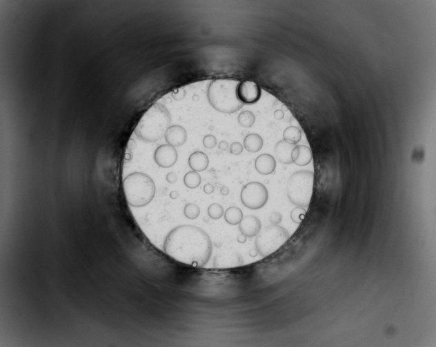 X0000103900666200810311411