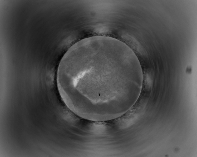 X0000103900668200810311411