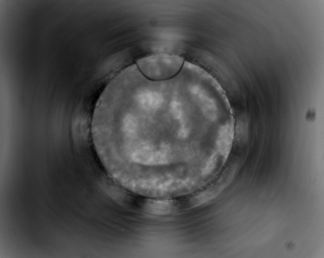 X0000103900671200810311411