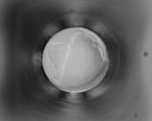 X0000103900672200810311411