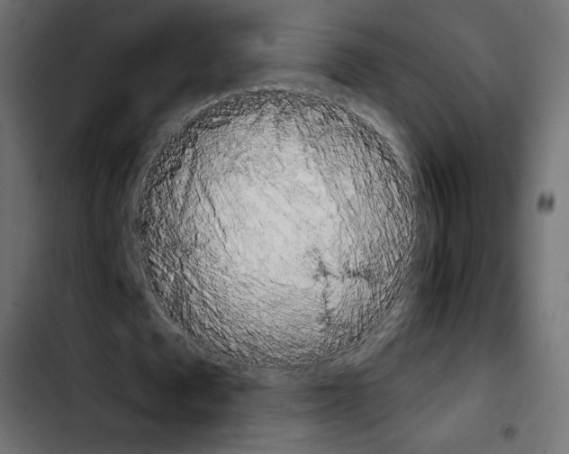 X0000103900673200810311410