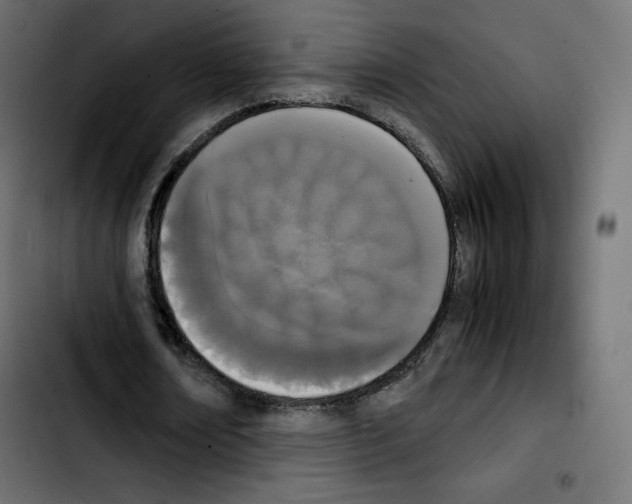 X0000103900674200810311410