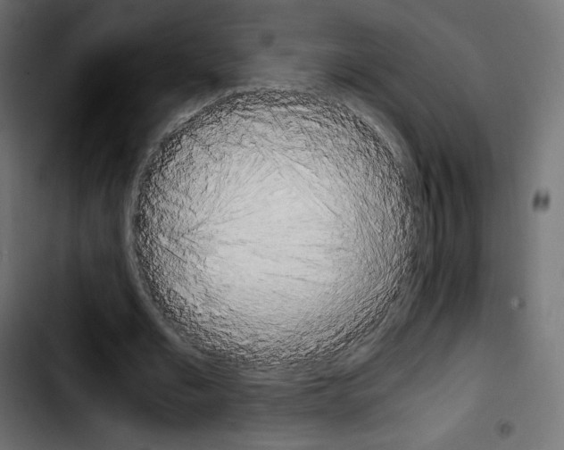 X0000103900677200810311410