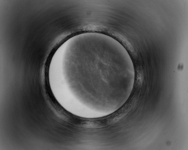 X0000103900678200810311410