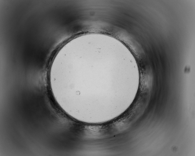 X0000103900680200810311410