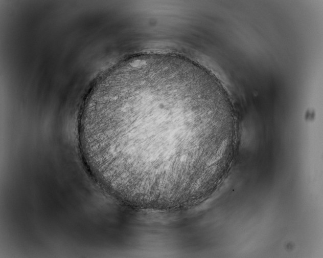 X0000103900681200810311410