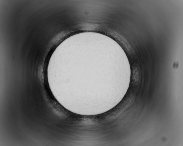 X0000103900682200810311410