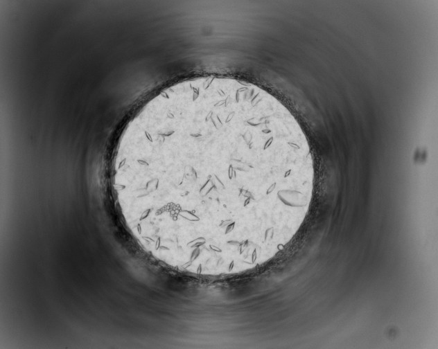 X0000103900683200810311410