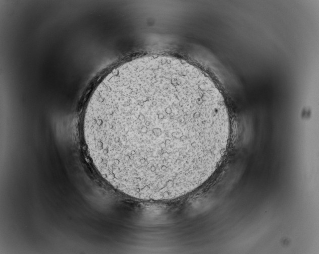 X0000103900684200810311410