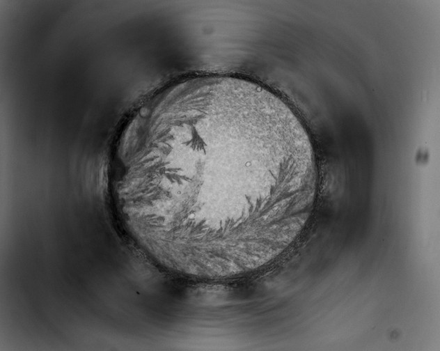 X0000103900685200810311410