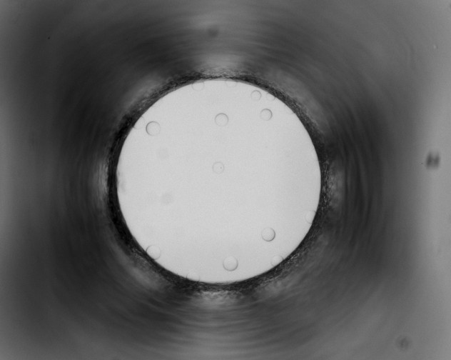 X0000103900686200810311410