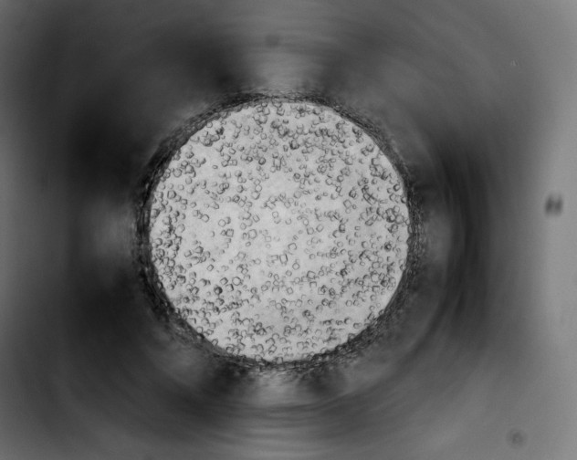 X0000103900688200810311410