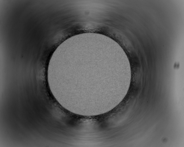 X0000103900689200810311410