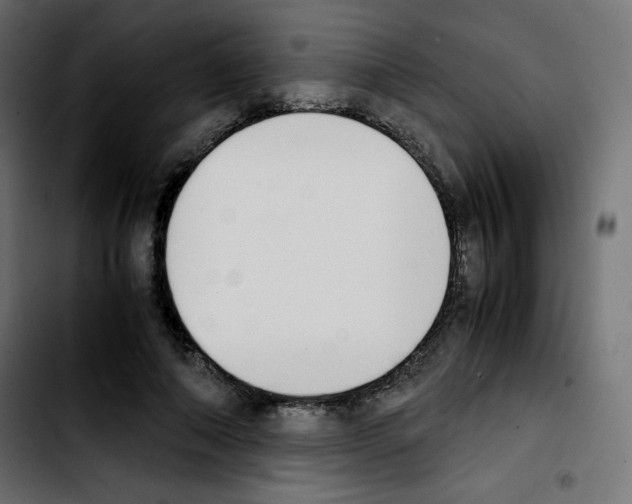 X0000103900690200810311410