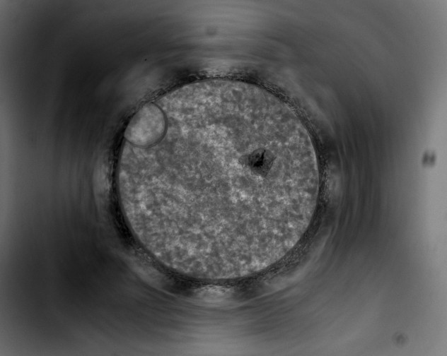 X0000103900691200810311410