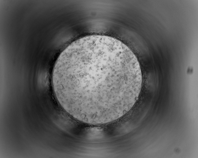 X0000103900692200810311410