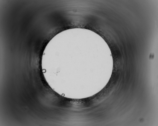 X0000103900693200810311410