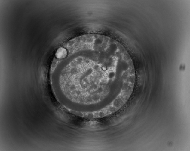 X0000103900695200810311410