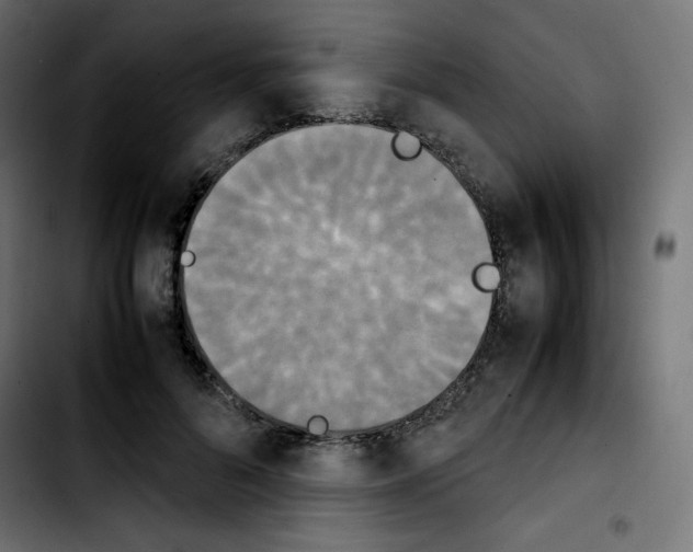 X0000103900696200810311410