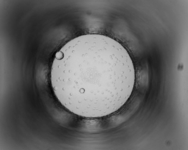 X0000103900698200810311410