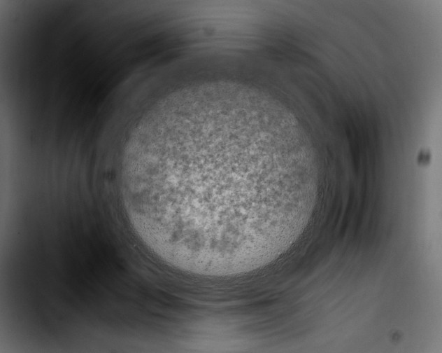 X0000103900701200810311410